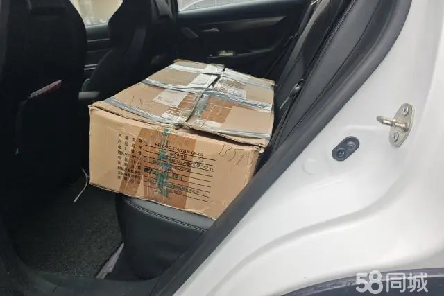 Xpeng G3 2019 car image #11