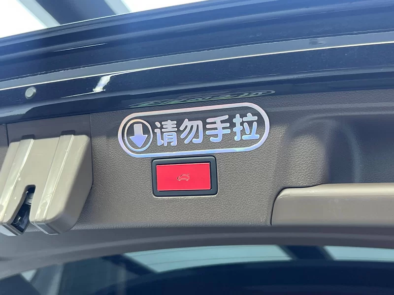 Volkswagen Viloran 2022 car image #11