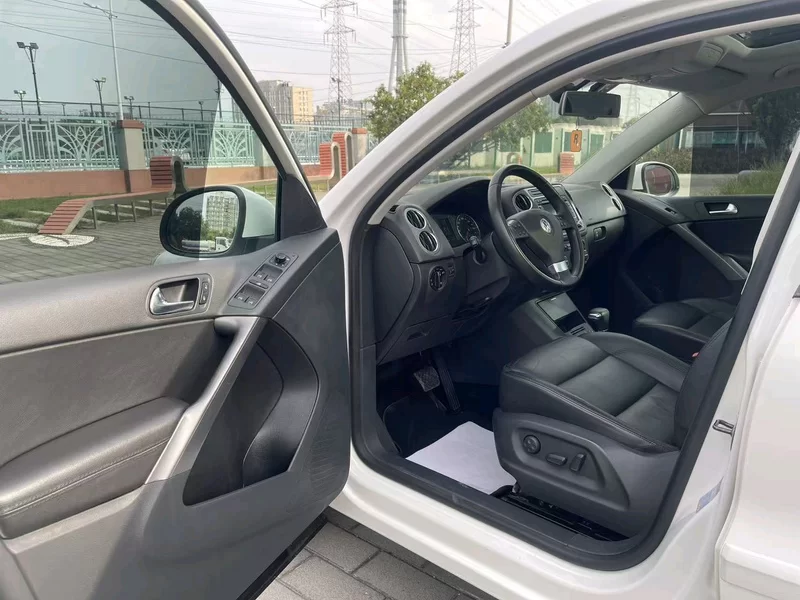 大众 Tiguan 2009 汽车图片 #11