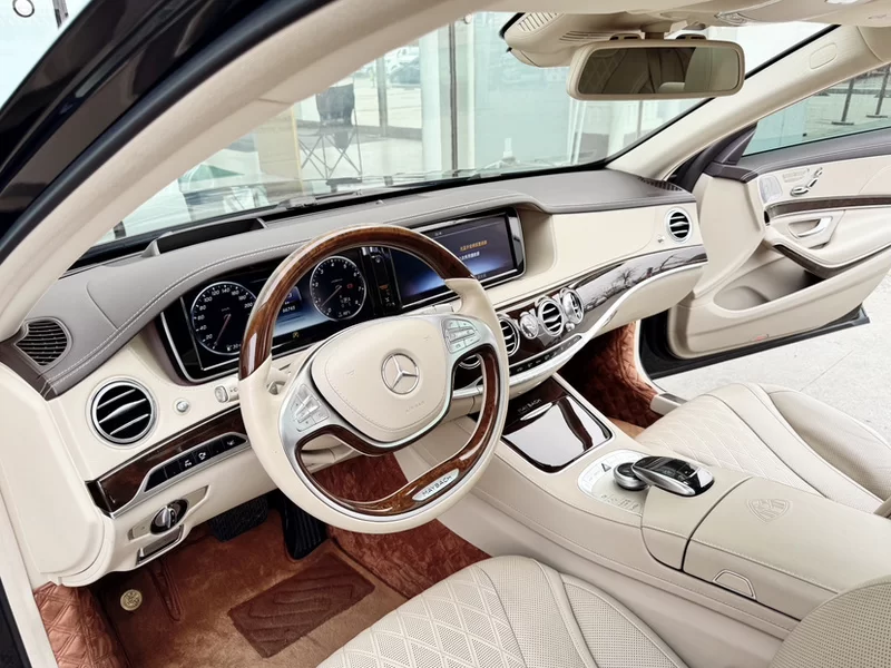 Mercedes-Benz Maybach S Class 2017 car image #11