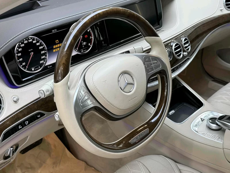 Mercedes-Benz Maybach S Class 2016 car image #11