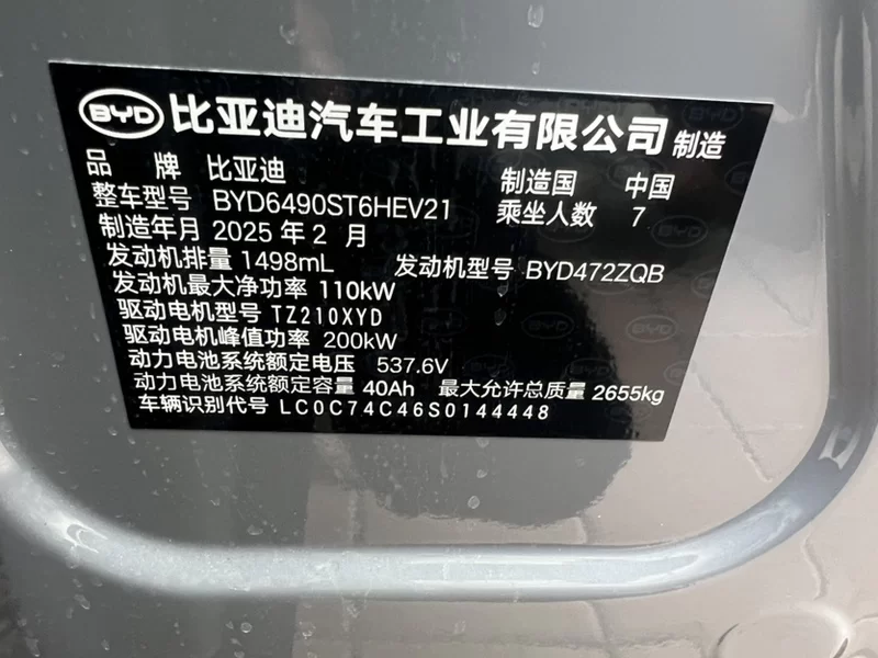 BYD Tang New Energy 2025 car image #11