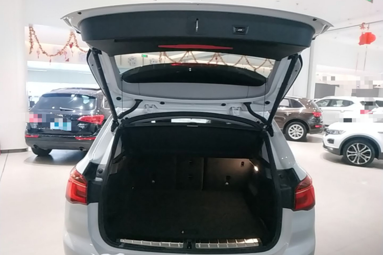 BMW X1 New Energy 2018 car image #19