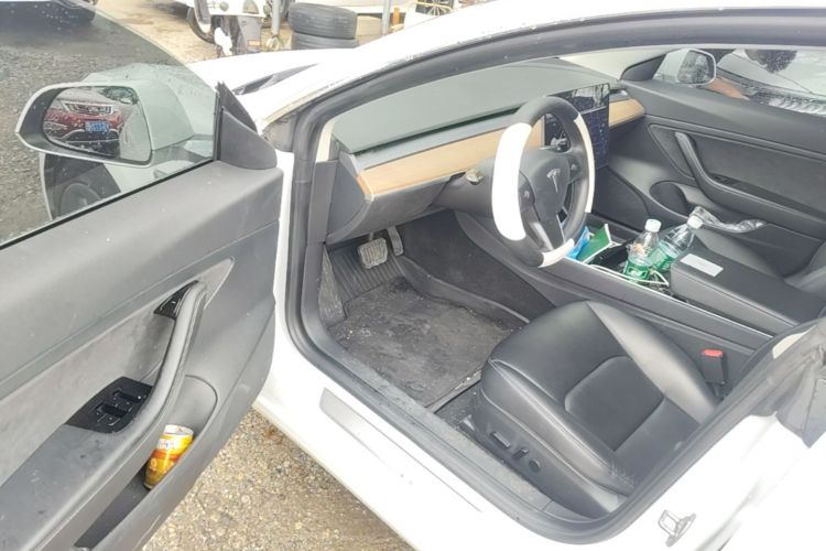 Tesla Model 3 2020 car image #16