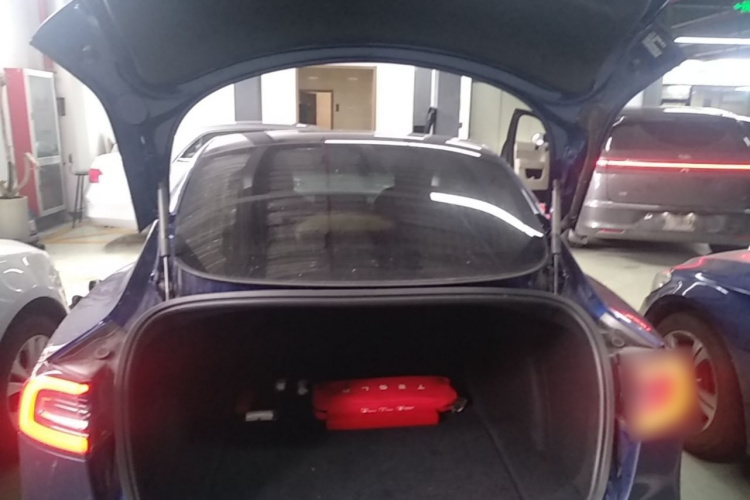 Tesla Model 3 2020 car image #19