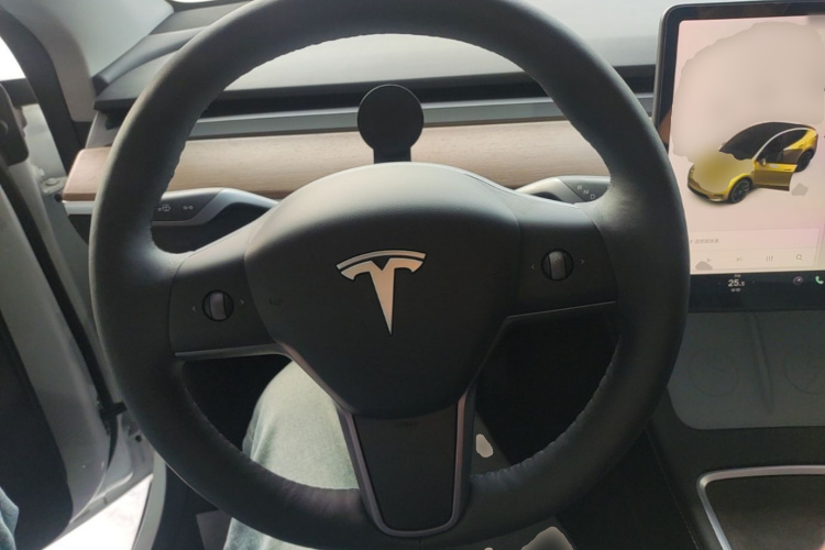 Tesla Model Y 2021 #11 Tesla Model Y 2021 car image #11