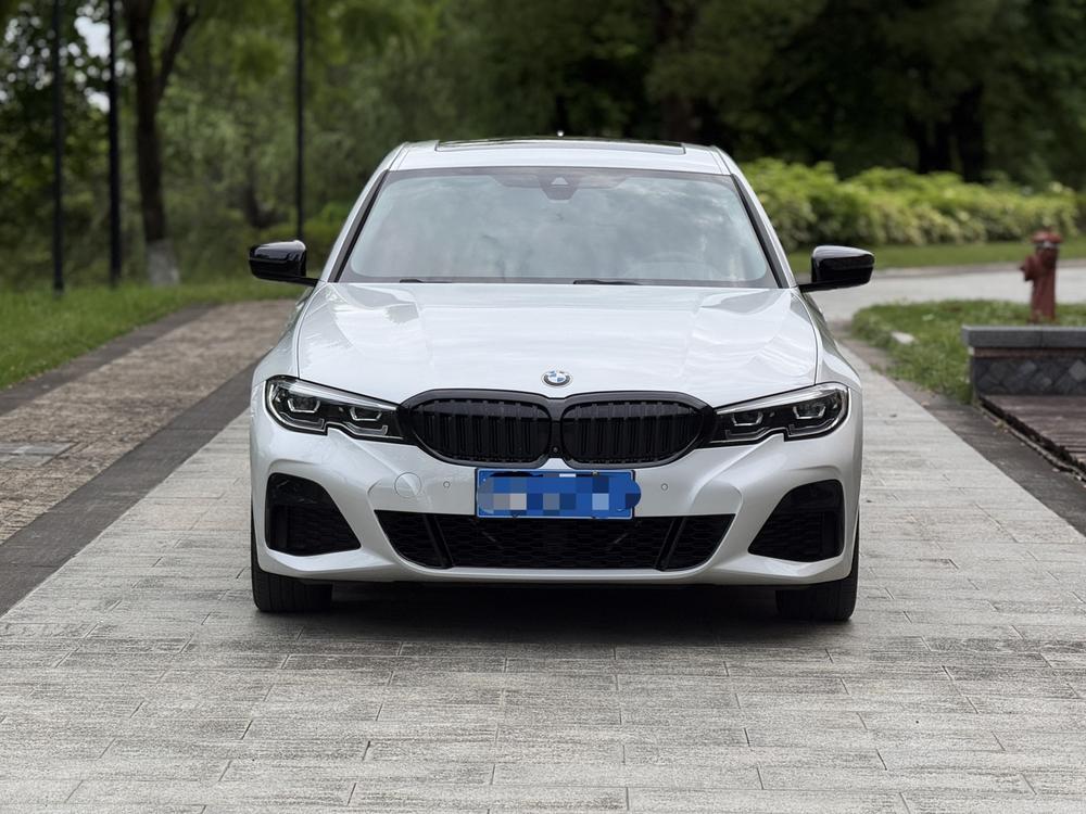 BMW 3 Series 2019 car image #2