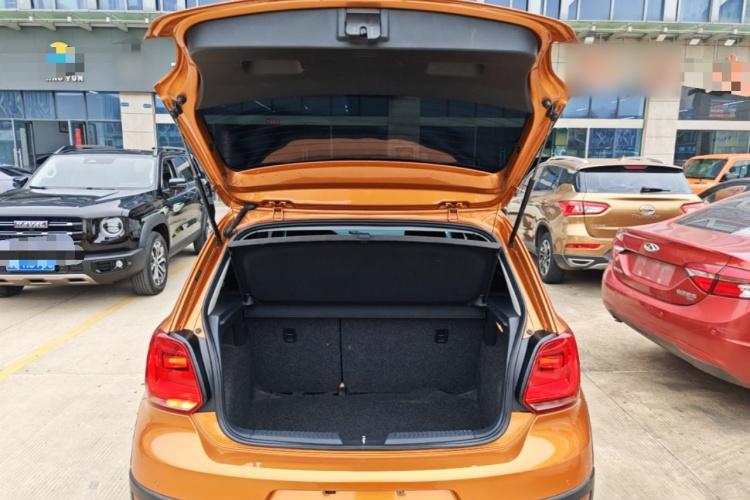 Volkswagen Polo 2014 car image #19
