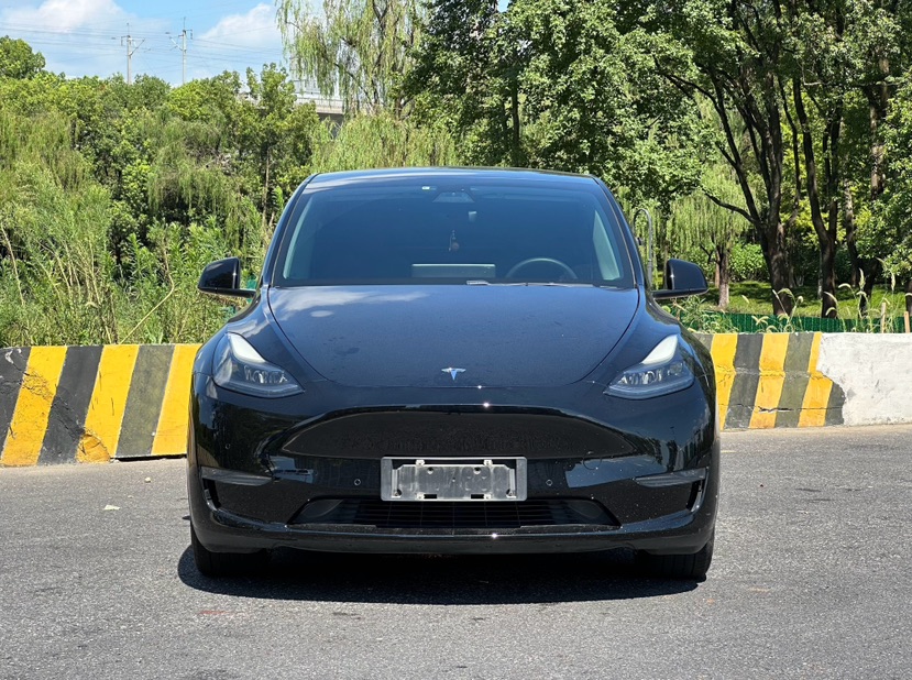 Tesla Model Y 2021 car image #2