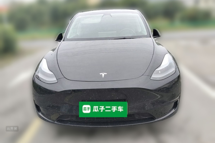 Tesla Model Y 2023 car image #3