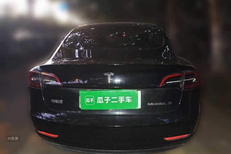 Tesla Model 3 2023 #6 Tesla Model 3 2023 صورة سيارة #6