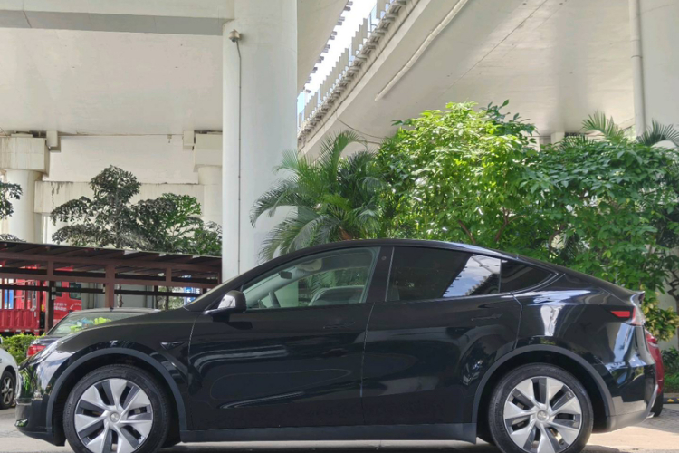 Tesla Model Y 2023 #6 Tesla Model Y 2023 صورة سيارة #6