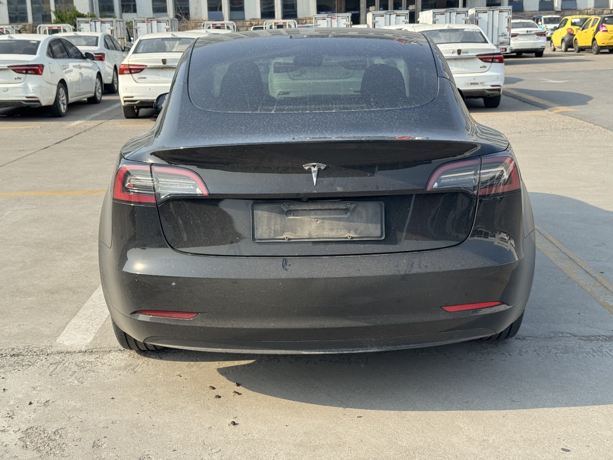 Tesla Model 3 2023 #5 Tesla Model 3 2023 car image #5