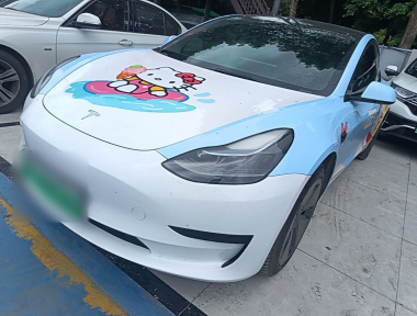 Tesla Model 3 2022 immagine di auto 