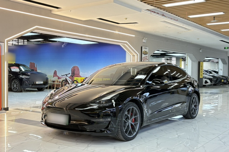 Tesla Model 3 2022 #2 Tesla Model 3 2022 car image #2