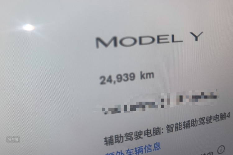 Tesla Model Y 2024 car image #14