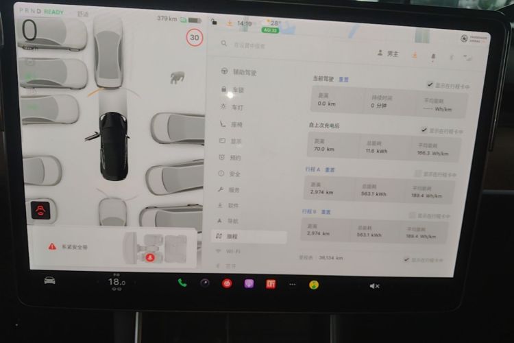 Tesla Model 3 2020 car image #13