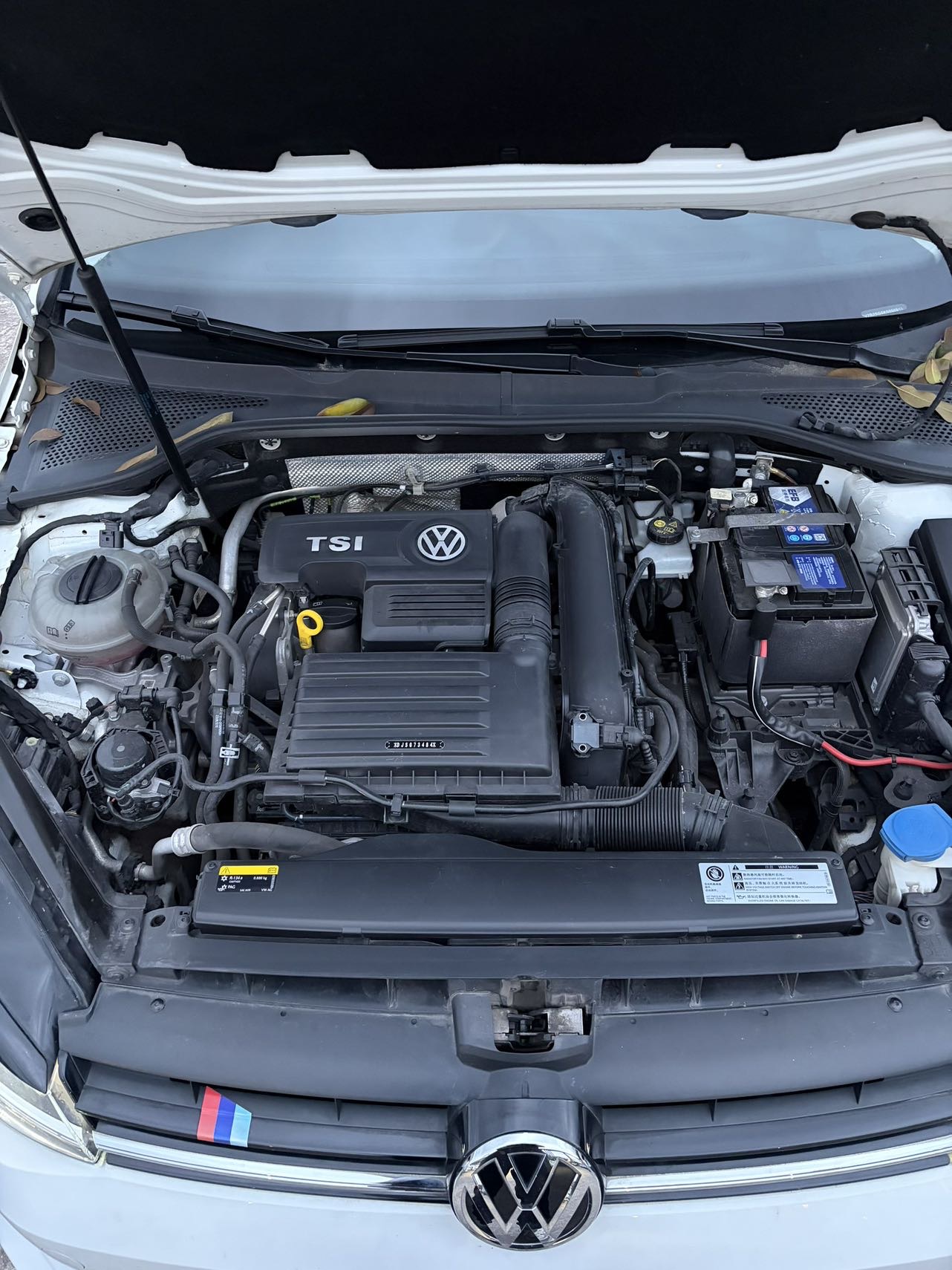 Volkswagen Golf 2019 car image #6