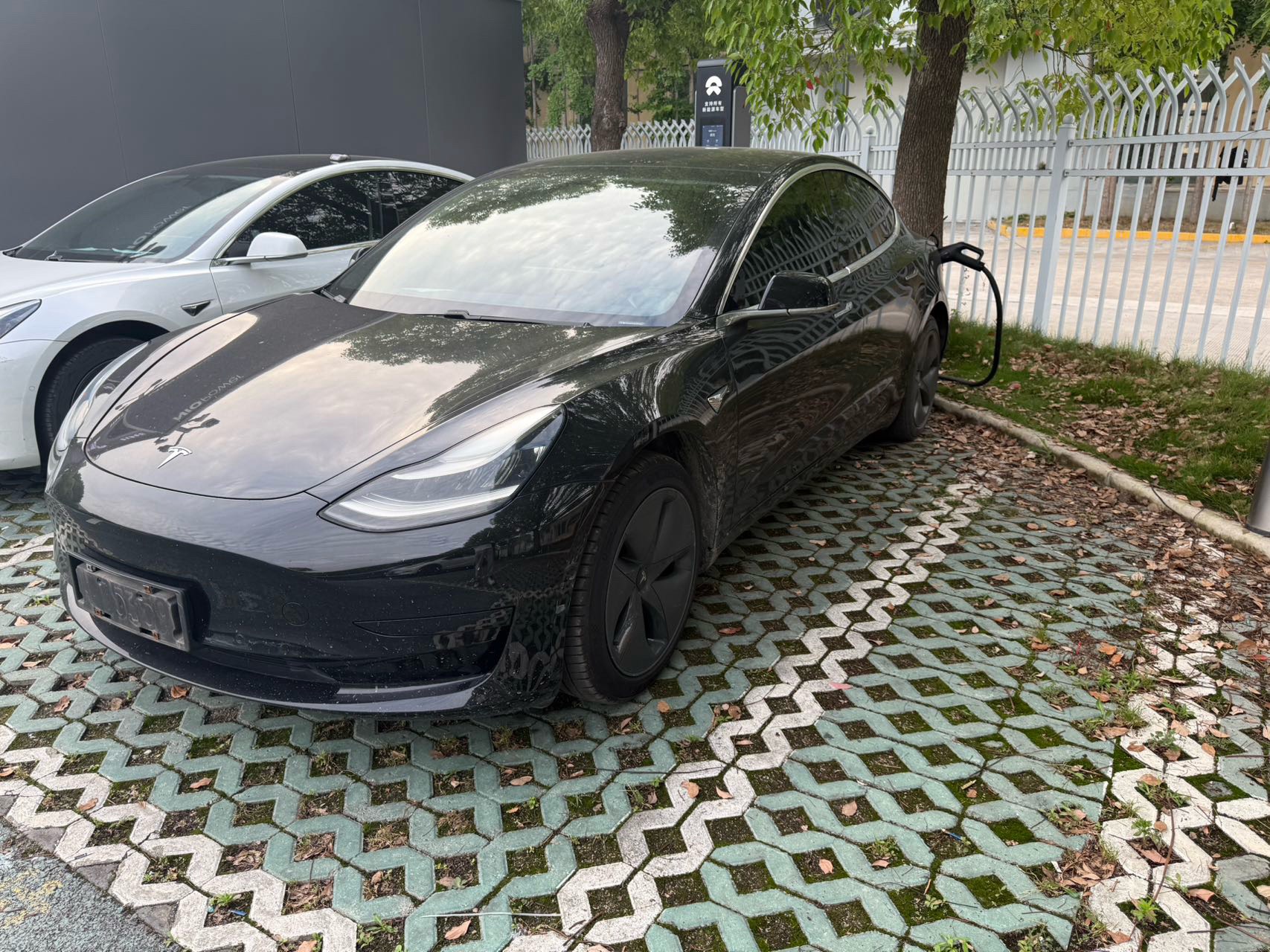 Tesla Model 3 2020 car image 