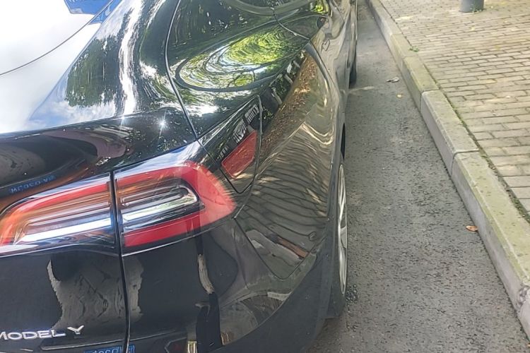 Tesla Model Y 2021 immagine di auto #8
