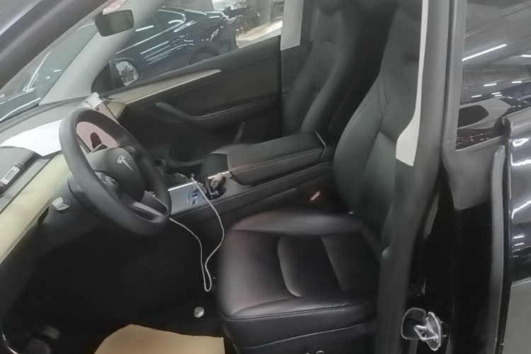 Tesla Model Y 2023 car image #15