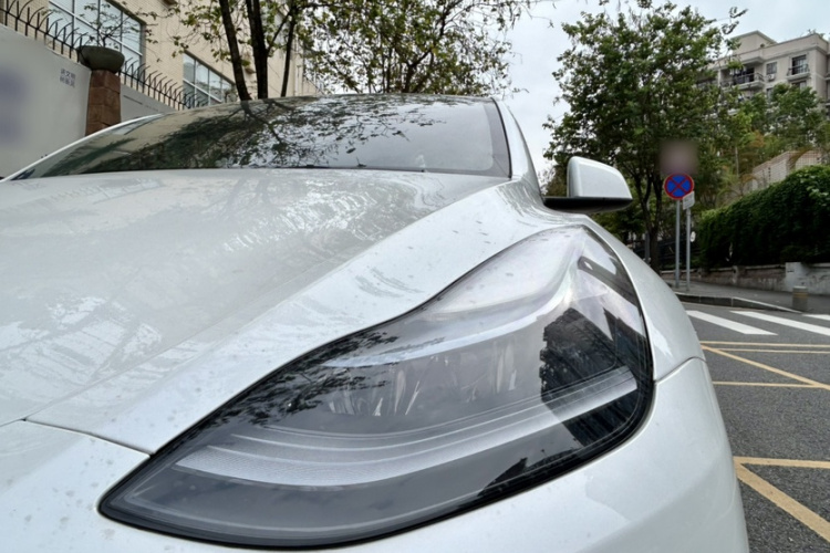 Tesla Model Y 2024 #9 Tesla Model Y 2024 car image #9