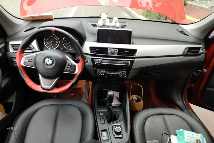 BMW X1 2016 car image #11