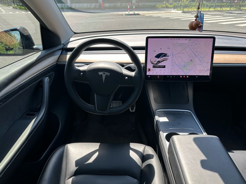 Tesla Model Y 2021 car image #8