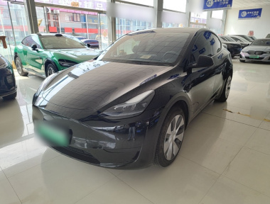 Tesla Model Y 2023 Tesla Model Y 2023 car image
