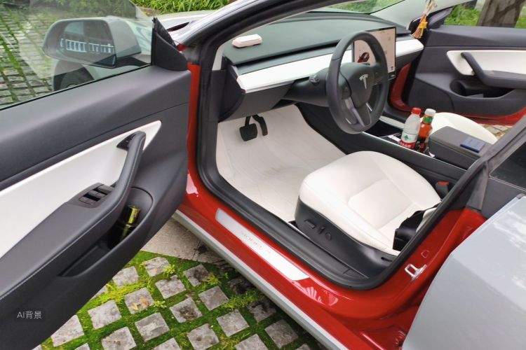 Tesla Model 3 2020 #18 Tesla Model 3 2020 car image #18
