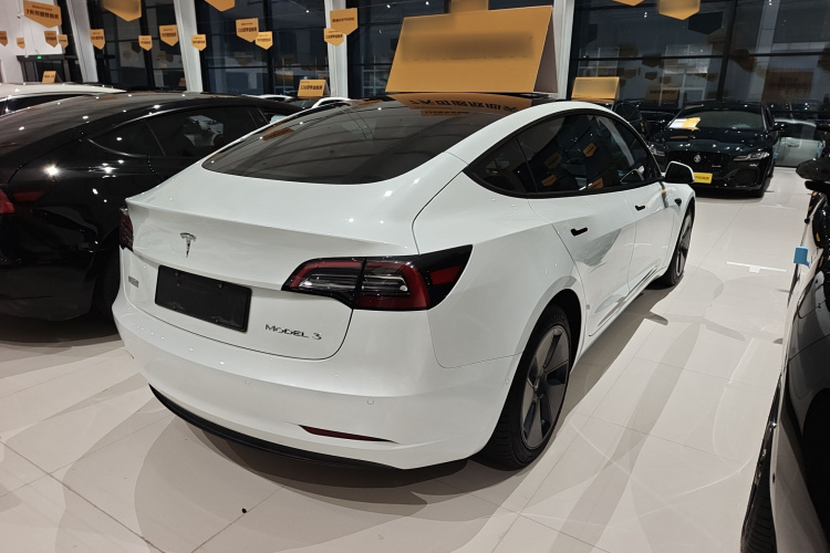 Tesla Model 3 2021 immagine di auto #5