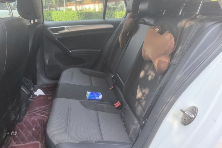 Volkswagen Golf 2019 car image #19