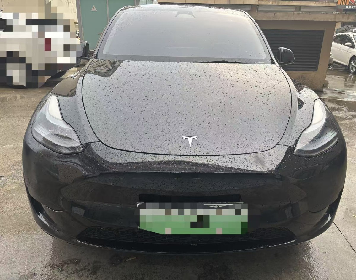Tesla Model Y 2021 #3 Tesla Model Y 2021 car image #3