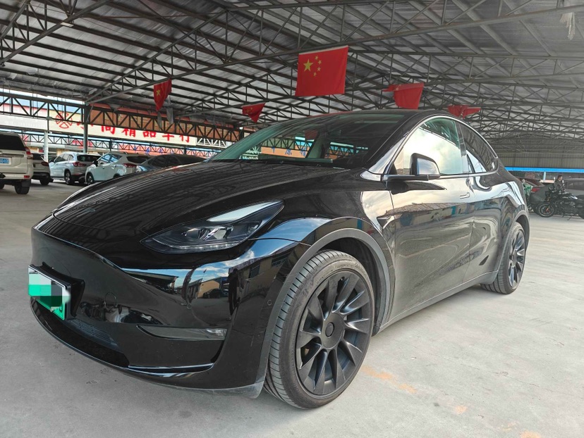 Tesla Model Y 2021 Tesla Model Y 2021 car image