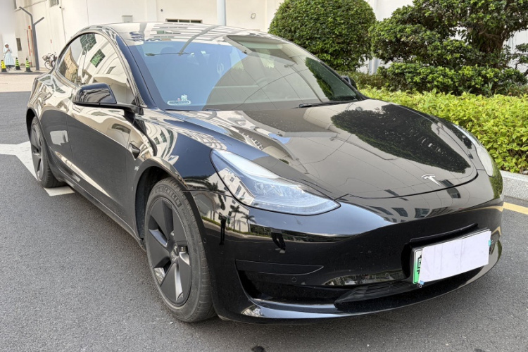 Tesla Model 3 2021 car image #7