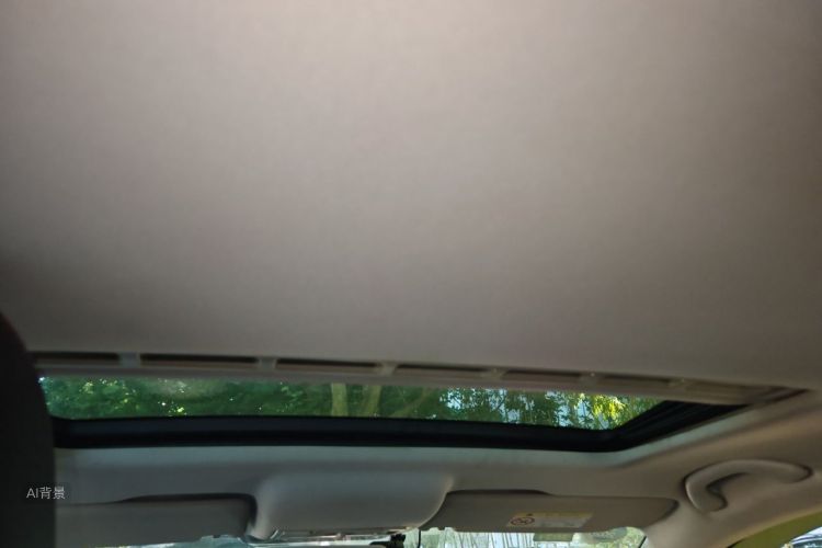 Volkswagen Santana 2019 car image #20