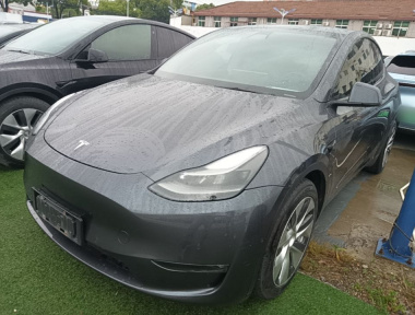 Tesla Model Y 2021 Tesla Model Y 2021 car image