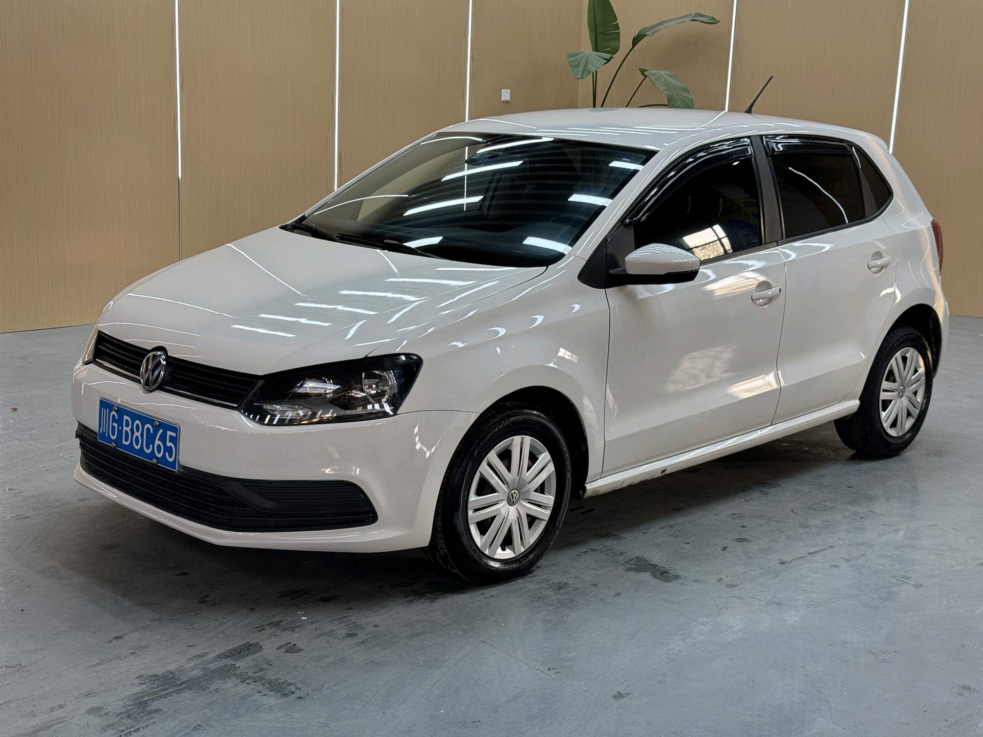 Volkswagen Polo 2015 car image 