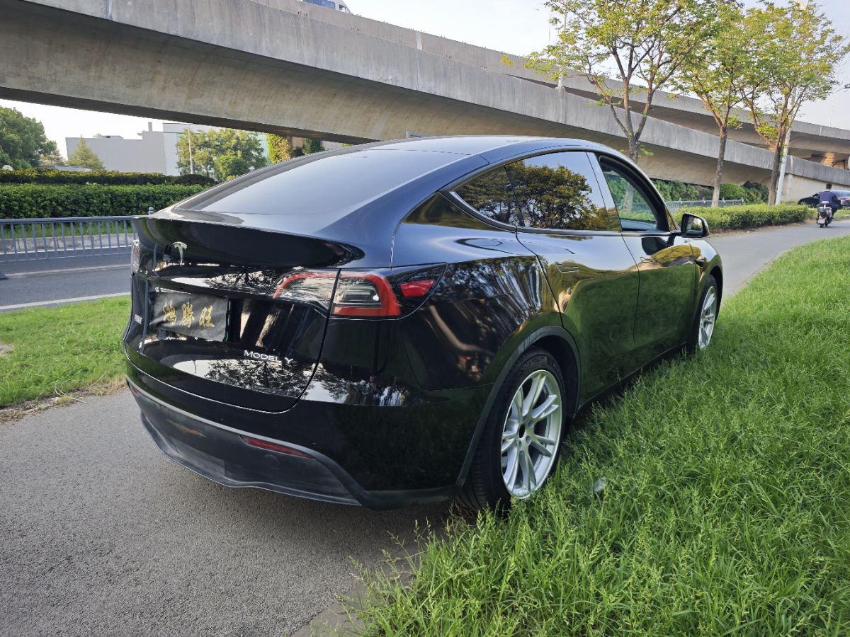Tesla Model Y 2022 car image #6