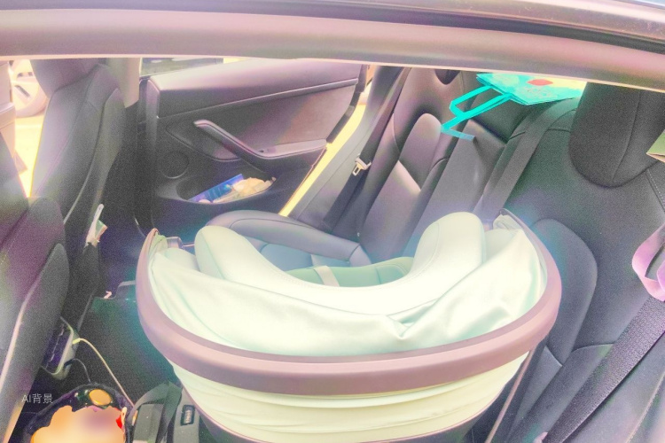 Tesla Model 3 2022 car image #19