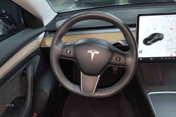 Tesla Model 3 2021 car image #12