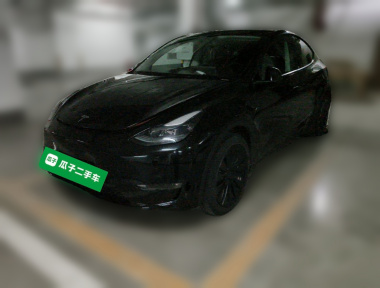 Tesla Model Y 2021 Tesla Model Y 2021 car image