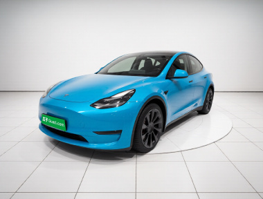 Tesla Model Y 2021 Tesla Model Y 2021 car image