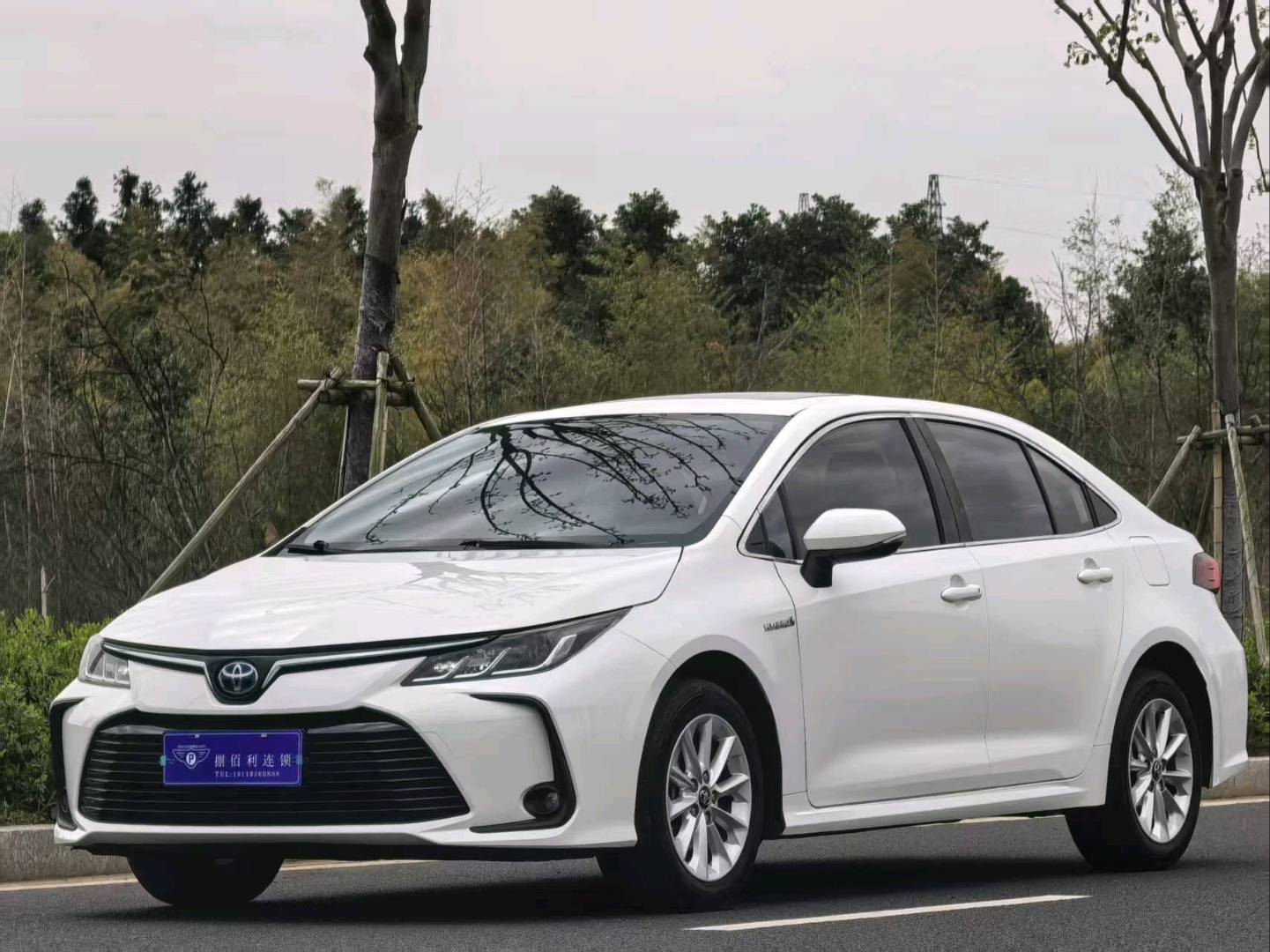 Toyota Corolla 2023 Toyota Corolla 2023 car image