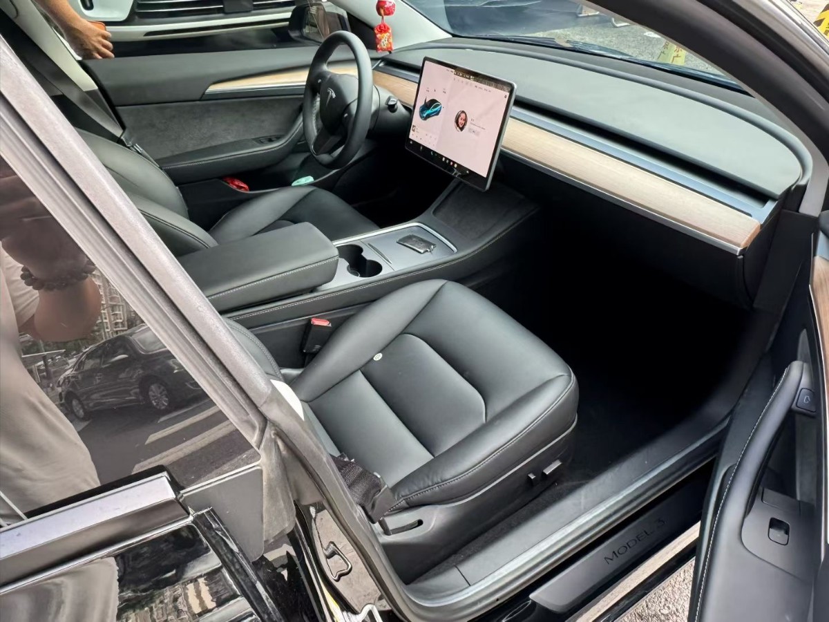Tesla Model 3 2021 #3 Tesla Model 3 2021 car image #3