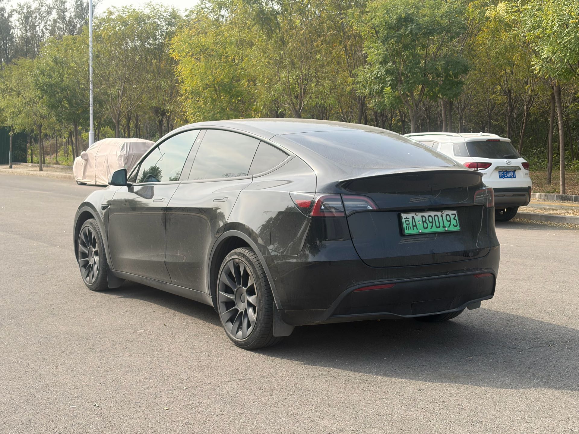 Tesla Model Y 2023 immagine di auto #5