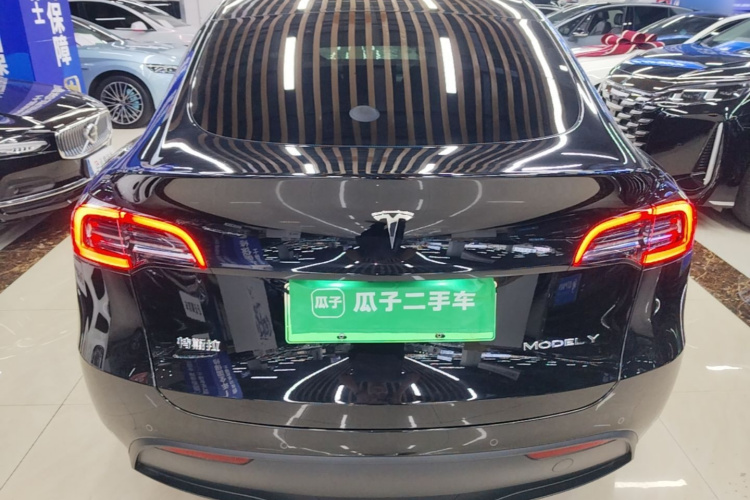 Tesla Model Y 2023 car image #6