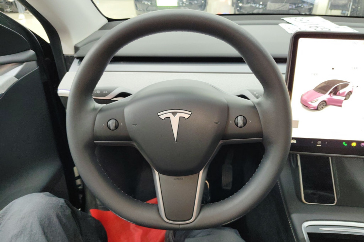 Tesla Model Y 2024 car image #11