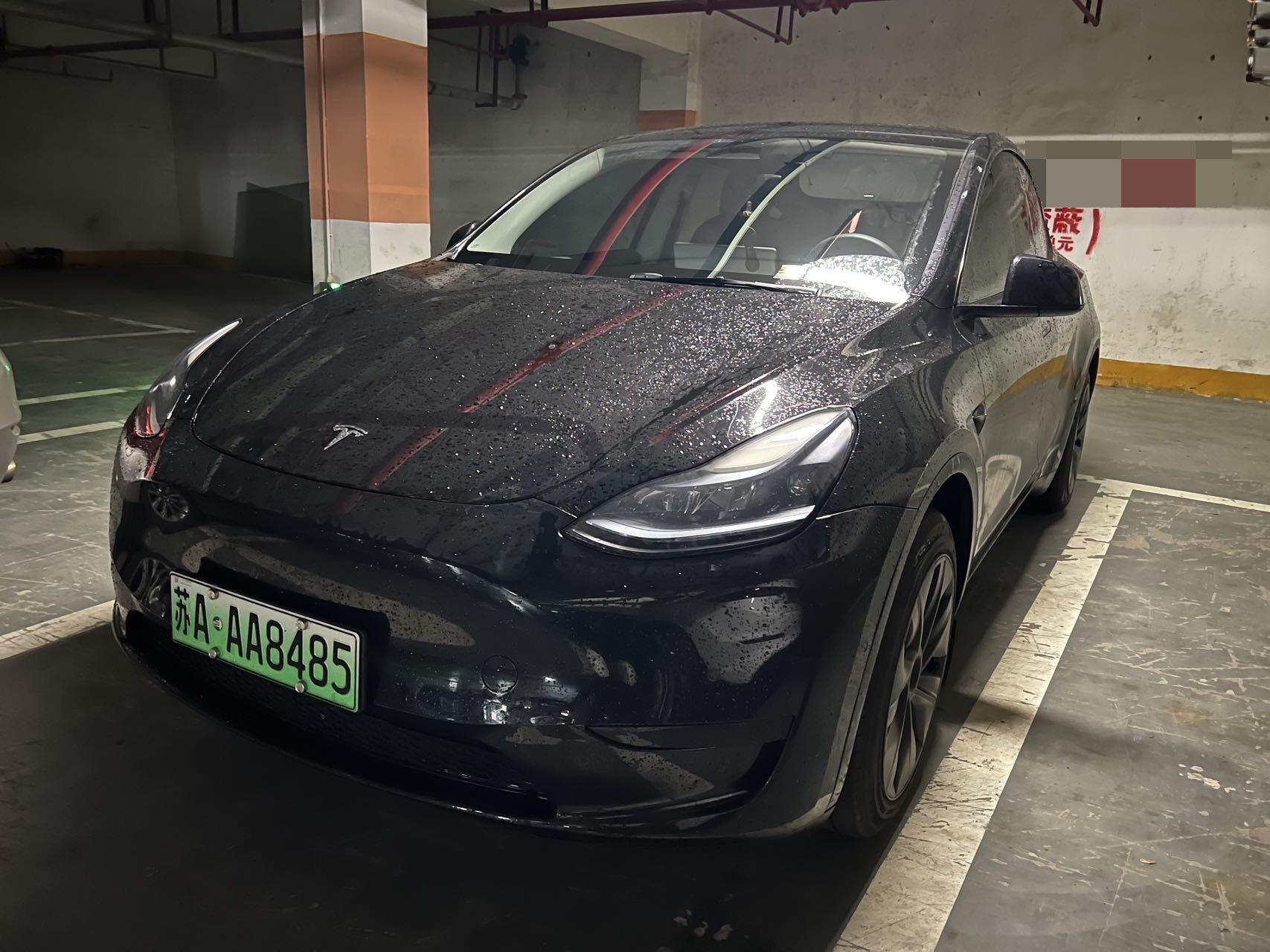 Tesla Model Y 2024 car image 
