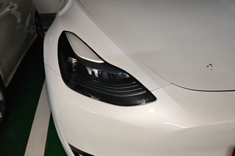 Tesla Model Y 2024 #8 Tesla Model Y 2024 car image #8